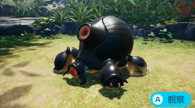 フタクチカブト