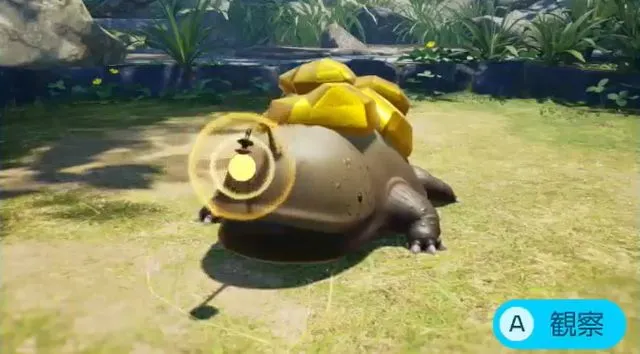 タカラサンショウ