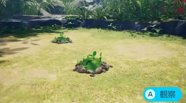 ダイオウデメマダラ