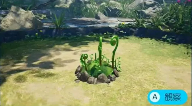 コウテイデメマダラ