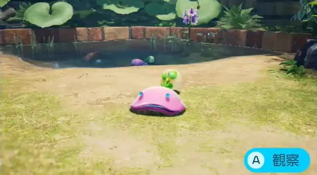 ツブラメケメクジ