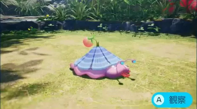 ハナガサケメクジ