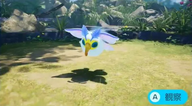 シラユキアゲハ