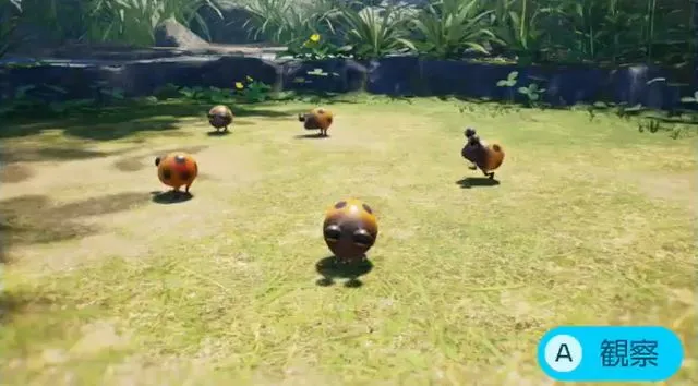 テンコチャッピー