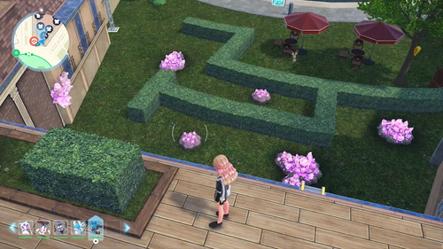 メガカケラの群生地の画像