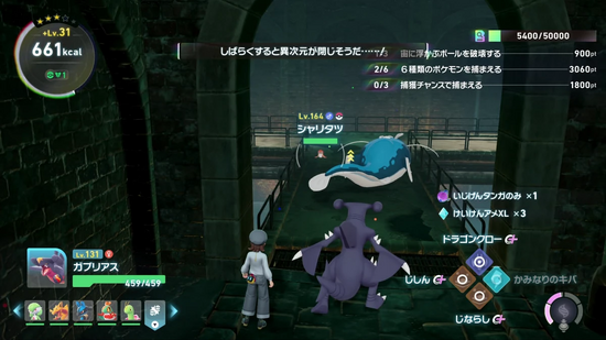 シャリタツの生息地2