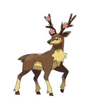 メブキジカ(はるのすがた)