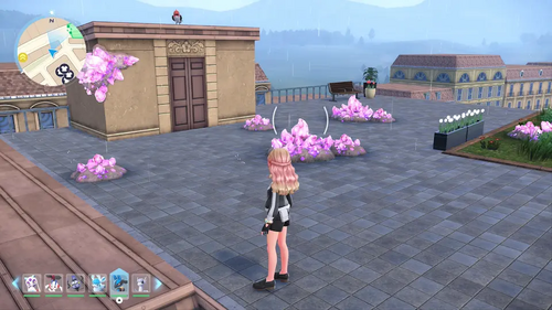 メガカケラの群生地の画像