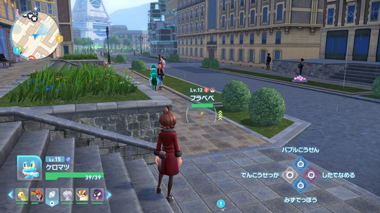 オレンジいろのフラベベ生息地