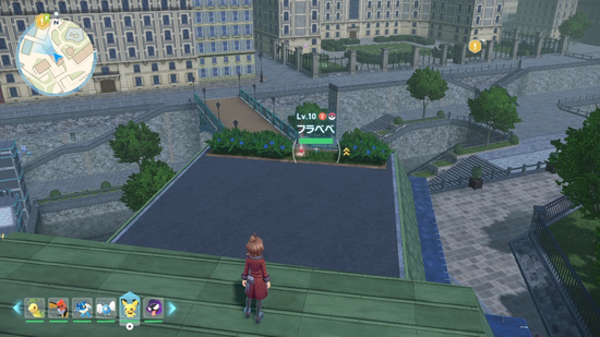 あおいはなのフラベベ生息地