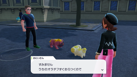 パピモッチと散歩中に起こる癒しイベント