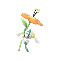 フラエッテ(オレンジいろのはな)