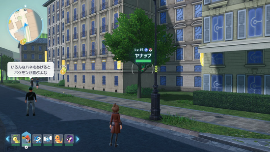 ヤナップ生息地