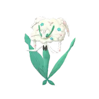 フラージェス(しろいはな)