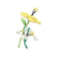 フラエッテ(きいろのはな)