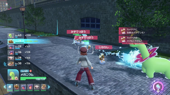 カメテテ5匹を追い払う