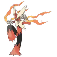 メガバシャーモ