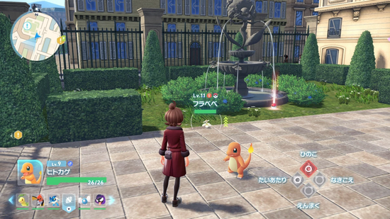 しろいはなのフラベベ生息地