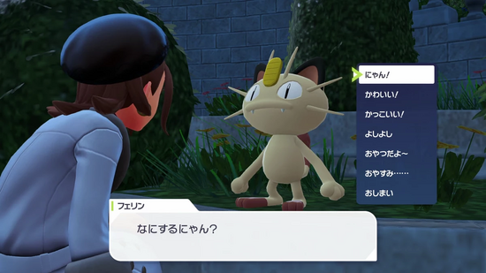 ニャースとのふれあいタイム