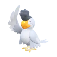 イキリンコ(ホワイトフェザー)