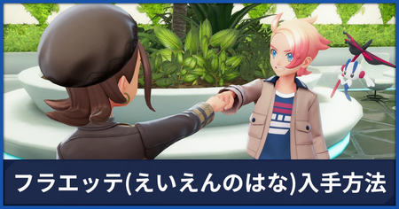 フラエッテ(えいえんのはな)の入手方法