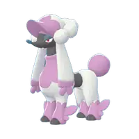 トリミアン(マダムカット)