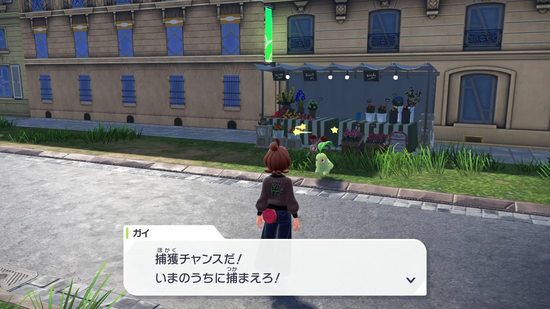 ホルビーを捕獲