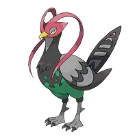 ケンホロウ(オスのすがた)