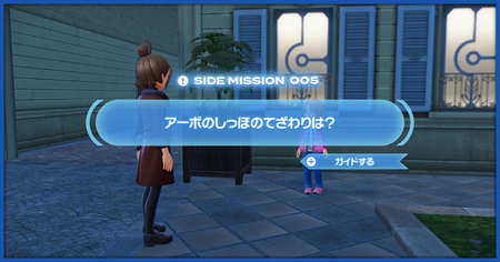 「アーボのしっぽのてざわりは？」の攻略情報