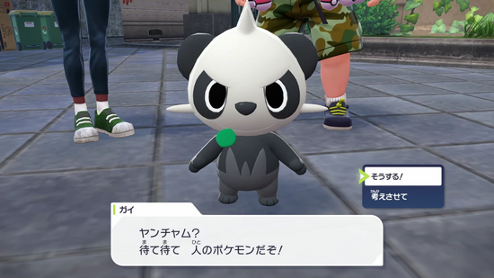 ヤンチャムに話しかけることもできるが…