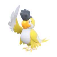 イキリンコ(イエローフェザー)