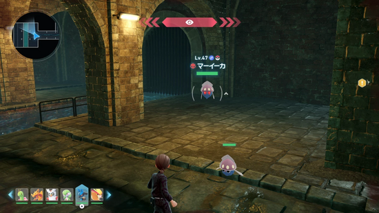 マーイーカの生息地