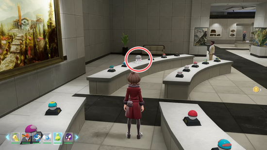 迷子のコフーライの居場所3