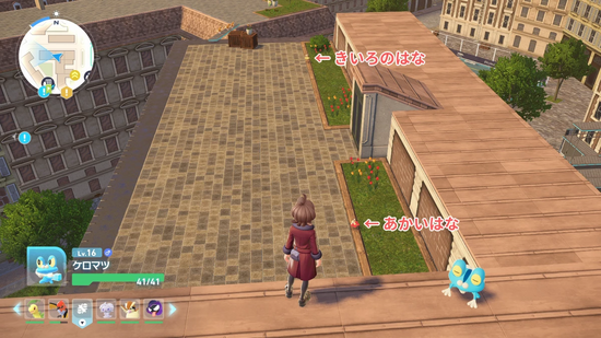 あかいはなのフラベベ生息地