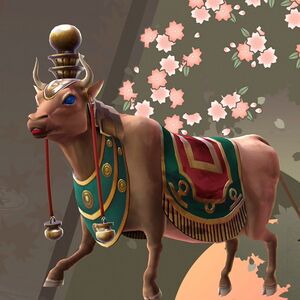 ナンディの画像