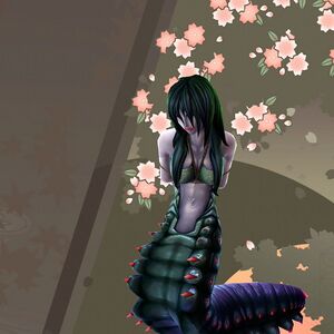 オキクムシの画像