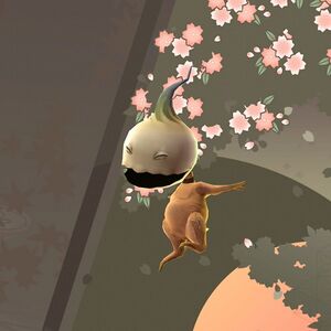 オンモラキの画像