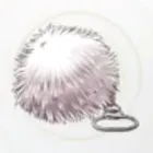 ウサギのシッポ