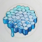 永久凍土のハチの巣