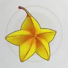 ペンタフルーツ