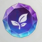 彩色石（植物）