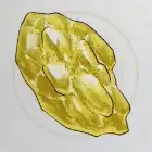 ゴルディナイト