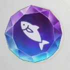 彩色石（魚介類）