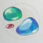 ジェリージェム