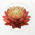 ドンケルハイト