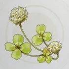 幸せクローバー