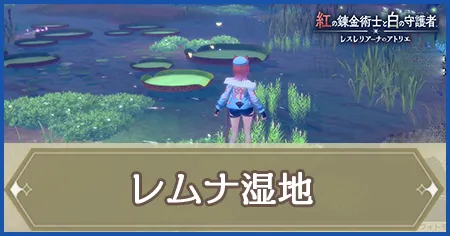 レムナ湿地の画像