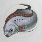 古代魚
