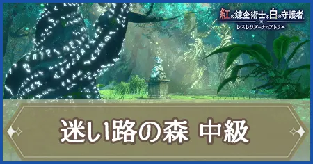 迷い路の森 中級の画像