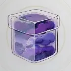 モータルネブラ